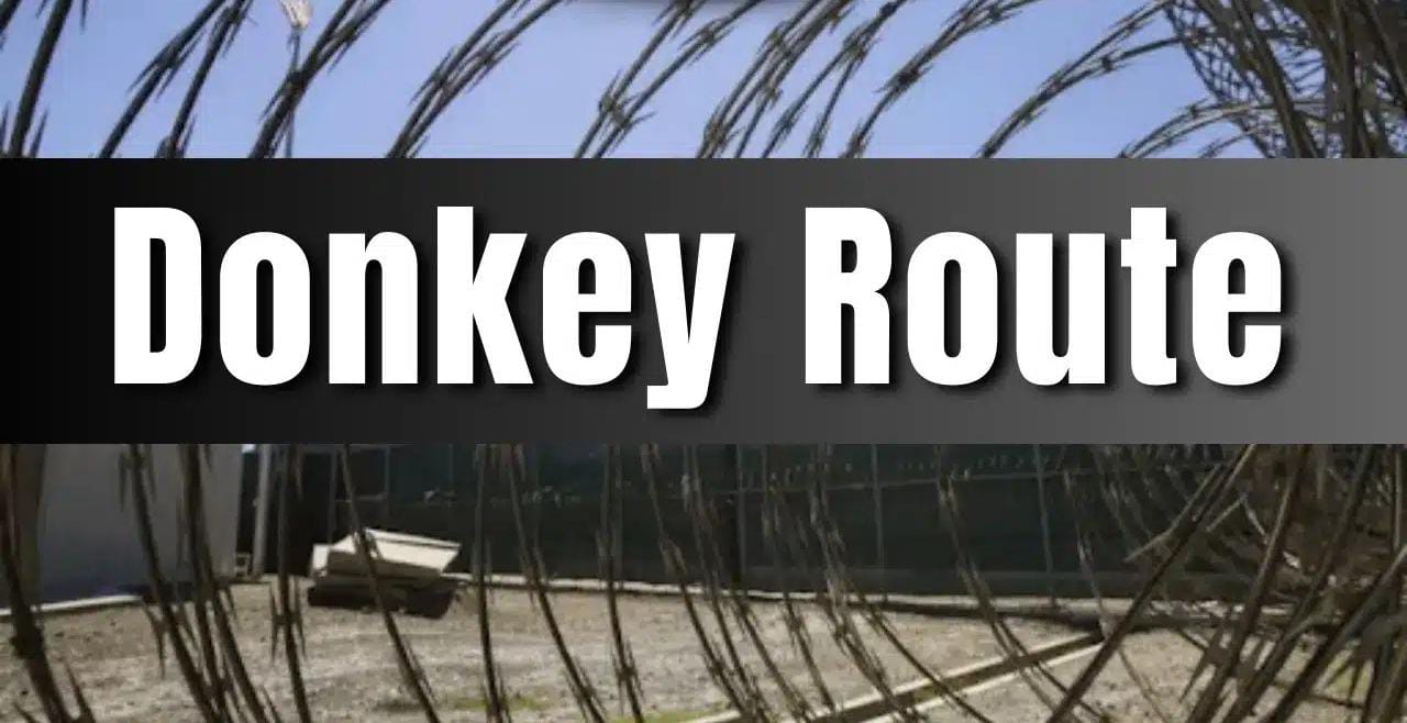 The dark empire of the 'donkey route' from Jalandhar to Delhi has been exposed!